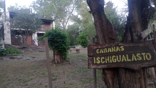 WhatsApp Image 2025-12-10 at 10.09.55 (1)