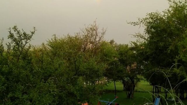 WhatsApp Image 2025-12-19 at 09.57.33 (1)