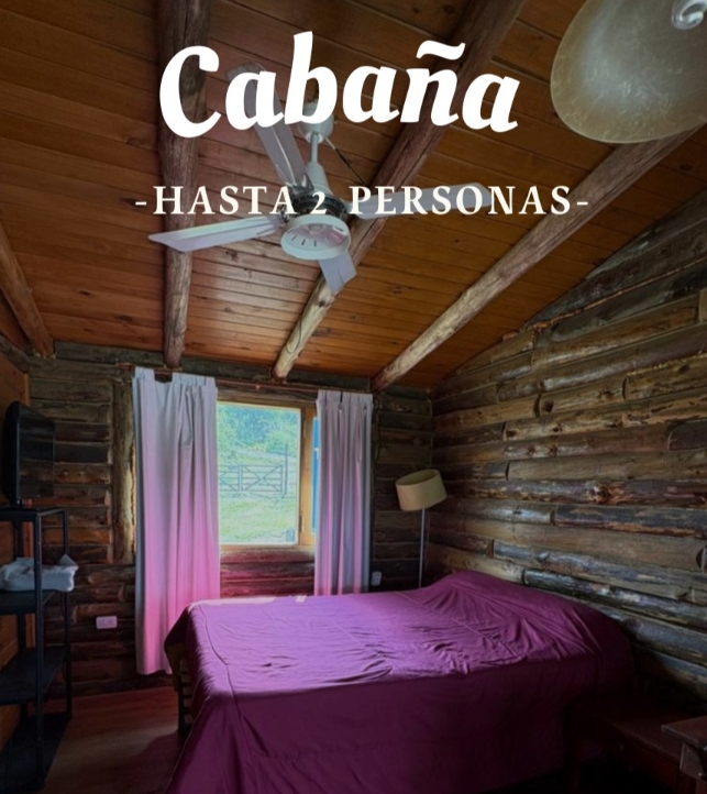 Captura de pantalla_24-2-2026_204644_www.instagram.com