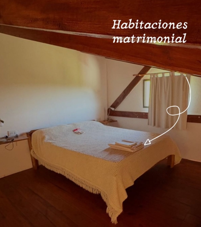 Captura de pantalla_24-2-2026_204751_www.instagram.com