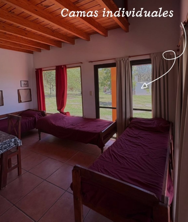 Captura de pantalla_24-2-2026_20483_www.instagram.com