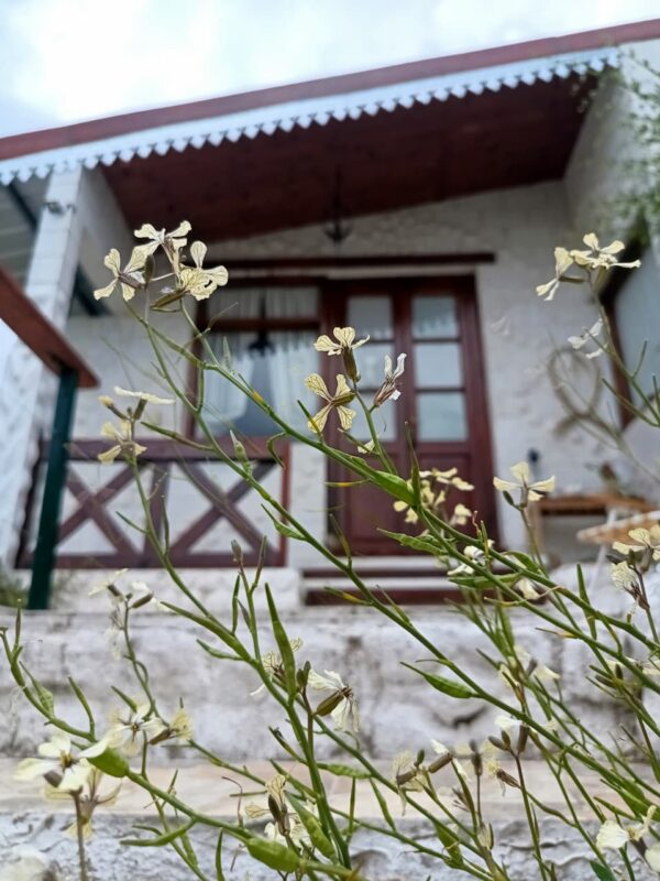 WhatsApp Image 2025-12-10 at 15.49.42